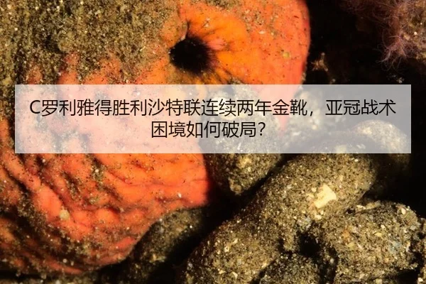 C罗利雅得胜利沙特联连续两年金靴，亚冠战术困境如何破局？