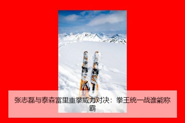 张志磊与泰森富里重拳威力对决：拳王统一战谁能称霸